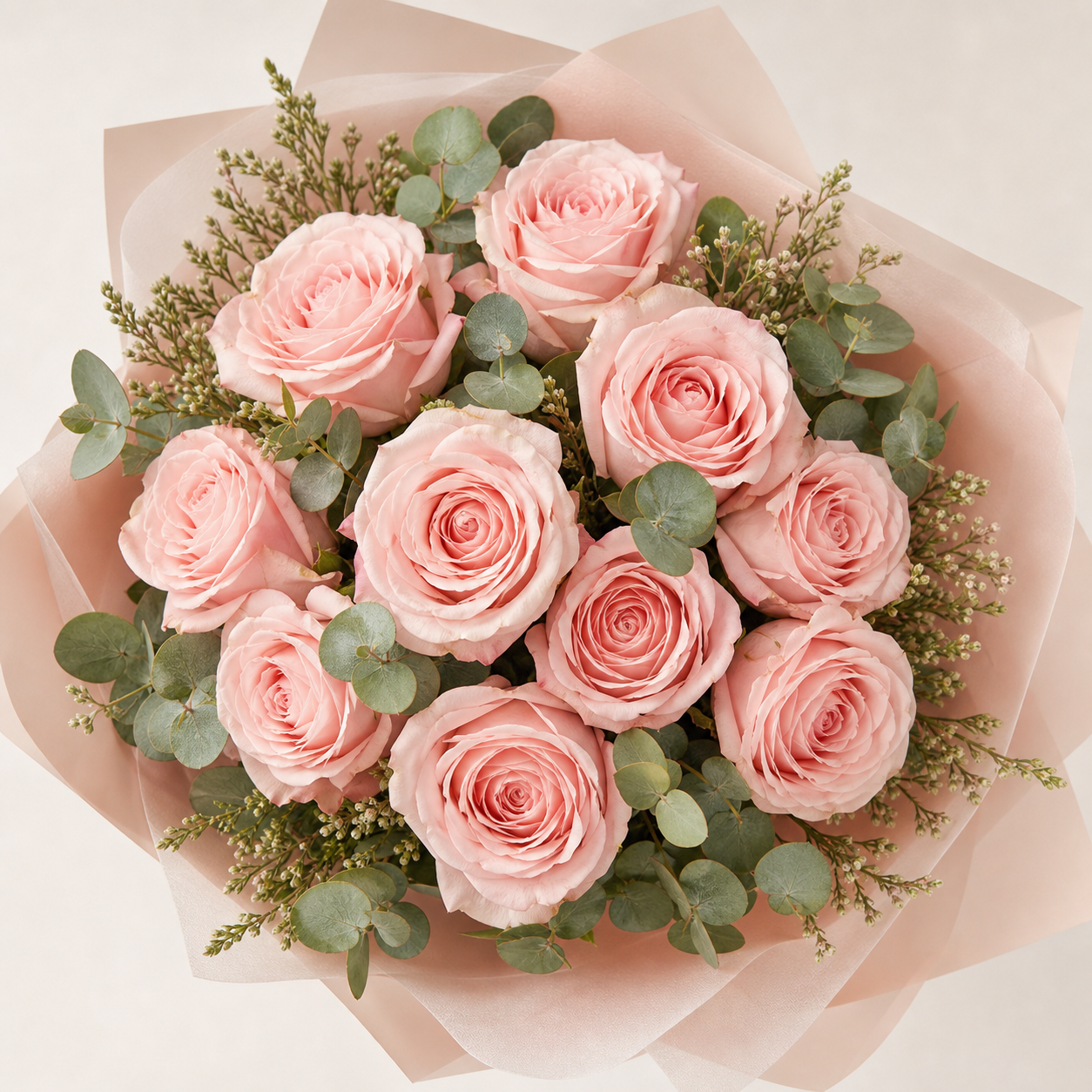 Blush Pink Roses