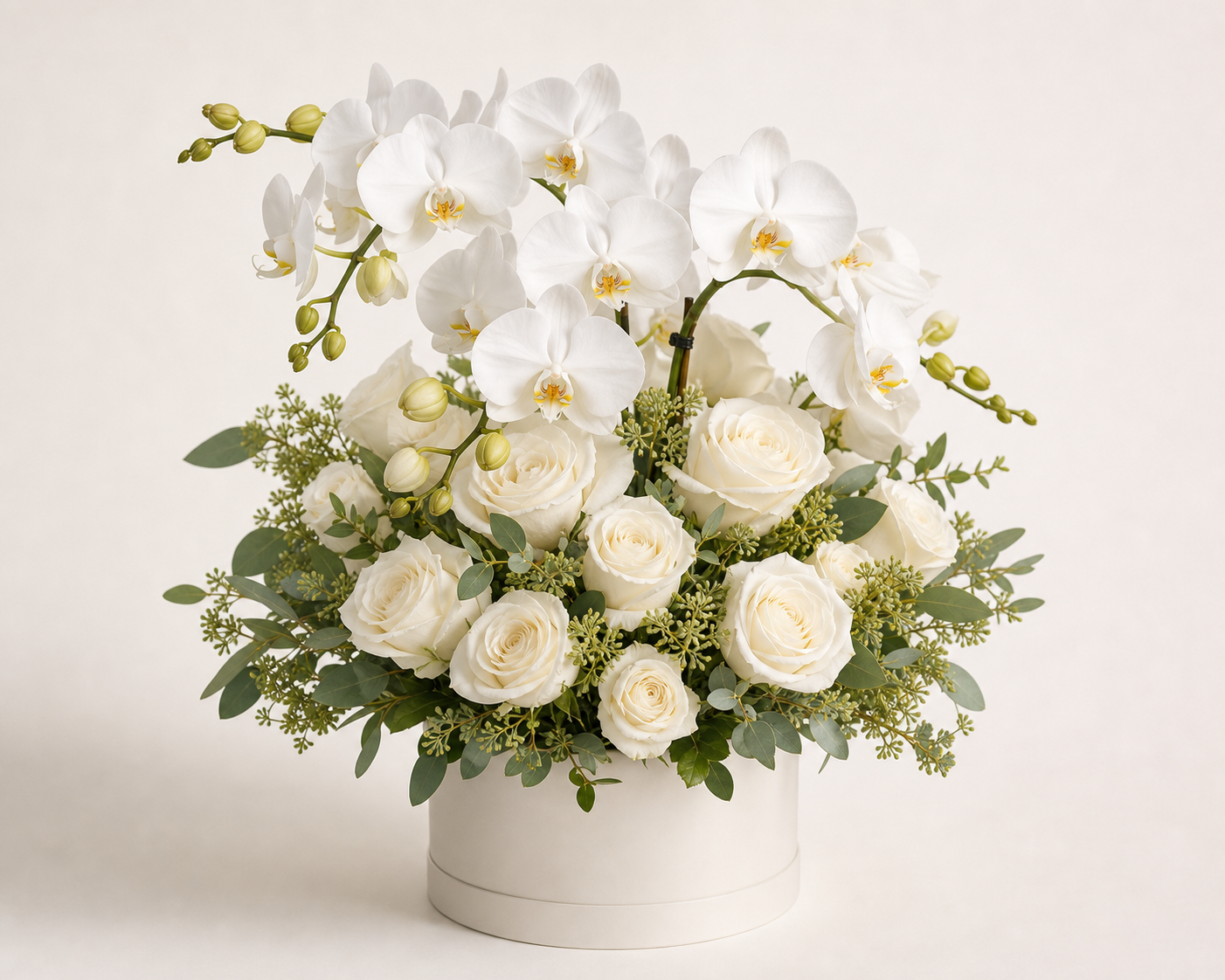 Orchid Elegance