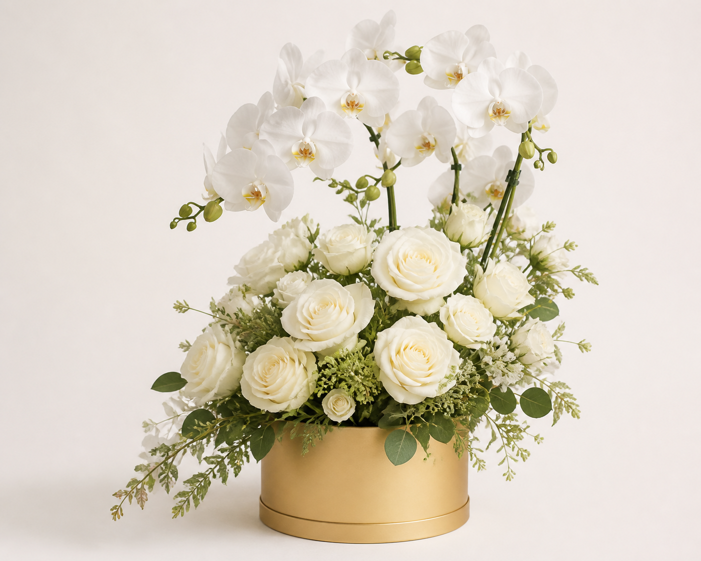 Orchid Elegance