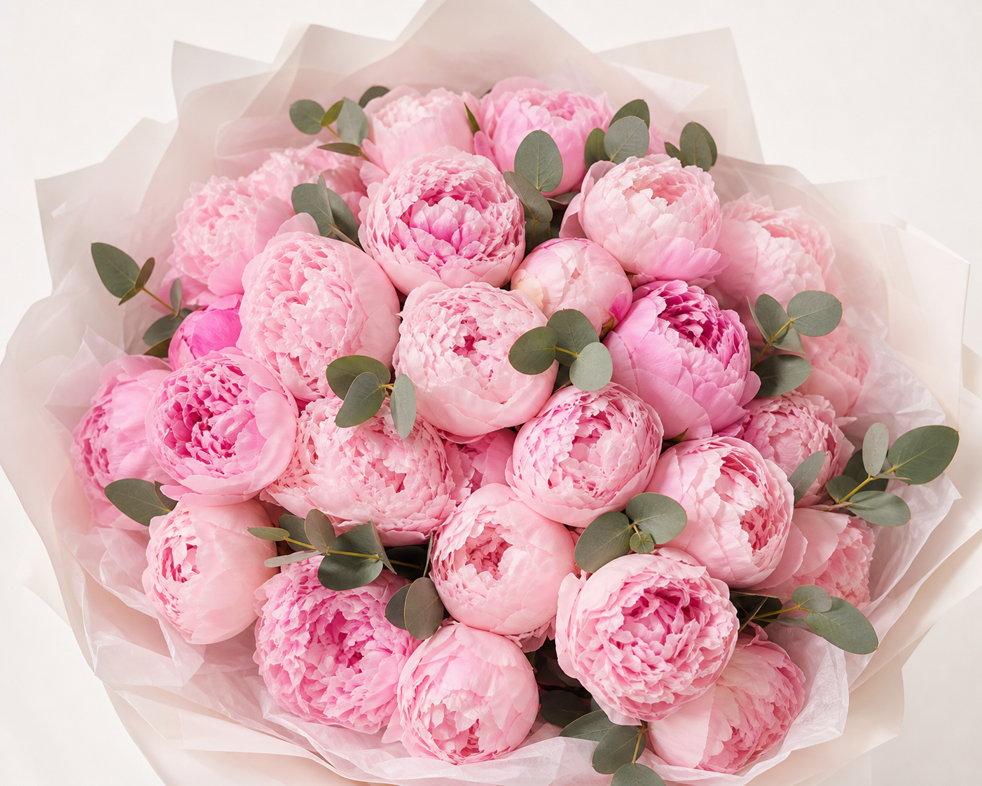 Peony Cloud